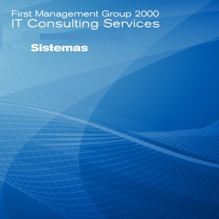 Consultora en TICS en el DF Distrito Federal, Mxico en First Management Group 2000: Outsourcing de Sistemas Software